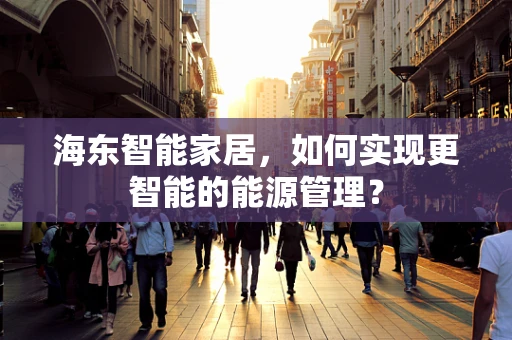 海东智能家居，如何实现更智能的能源管理？
