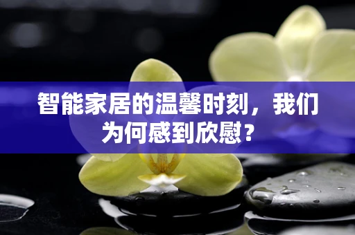 智能家居的温馨时刻，我们为何感到欣慰？
