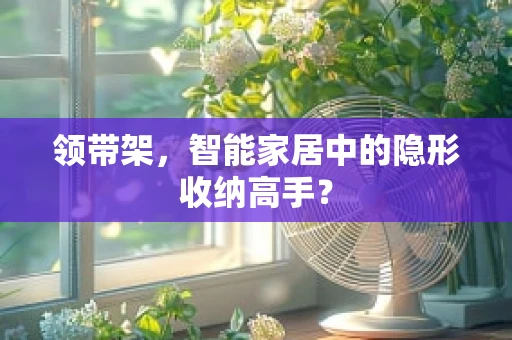 领带架，智能家居中的隐形收纳高手？