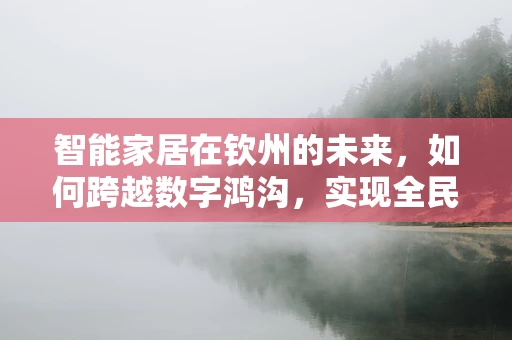 智能家居在钦州的未来，如何跨越数字鸿沟，实现全民智能生活？
