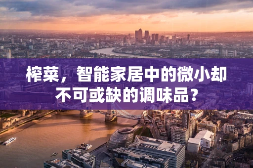 榨菜，智能家居中的微小却不可或缺的调味品？
