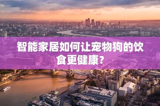 智能家居如何让宠物狗的饮食更健康？