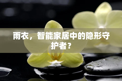 雨衣，智能家居中的隐形守护者？