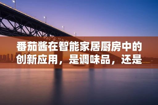 番茄酱在智能家居厨房中的创新应用，是调味品，还是智能助手？