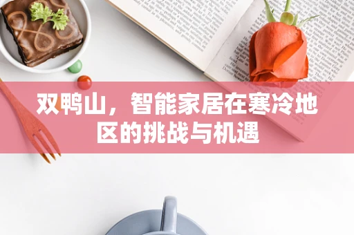 双鸭山，智能家居在寒冷地区的挑战与机遇