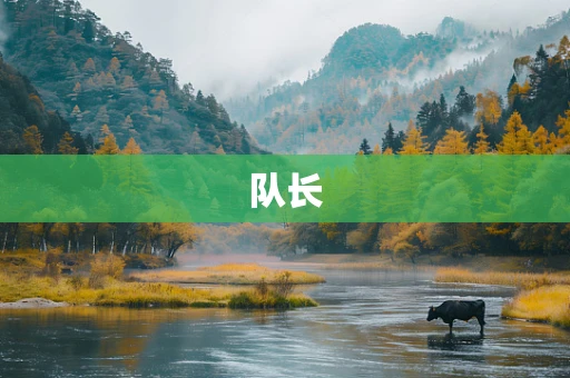 队长