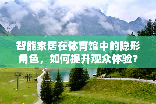 智能家居在体育馆中的隐形角色，如何提升观众体验？