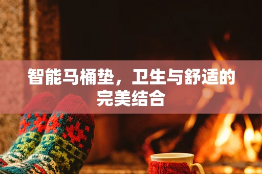 智能马桶垫，卫生与舒适的完美结合