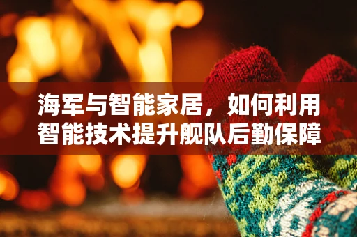 海军与智能家居，如何利用智能技术提升舰队后勤保障效率？