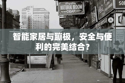 智能家居与蹦极，安全与便利的完美结合？