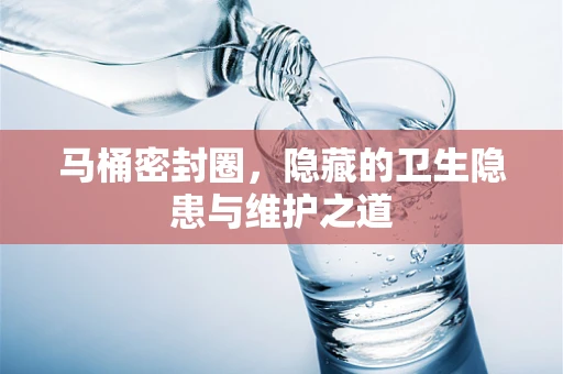 马桶密封圈，隐藏的卫生隐患与维护之道