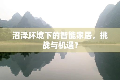 沼泽环境下的智能家居，挑战与机遇？