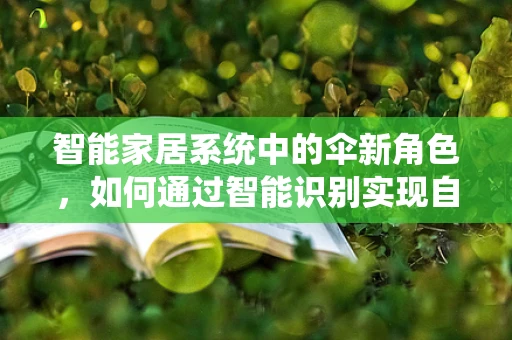 智能家居系统中的伞新角色，如何通过智能识别实现自动晾晒？