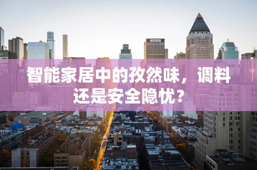 智能家居中的孜然味，调料还是安全隐忧？