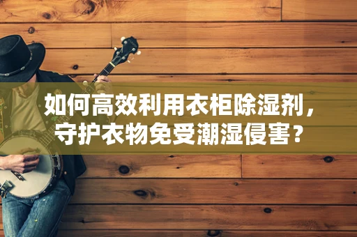 如何高效利用衣柜除湿剂，守护衣物免受潮湿侵害？