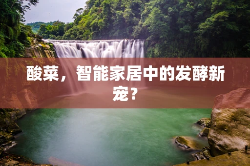 酸菜，智能家居中的发酵新宠？