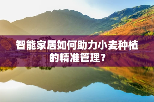 智能家居如何助力小麦种植的精准管理？