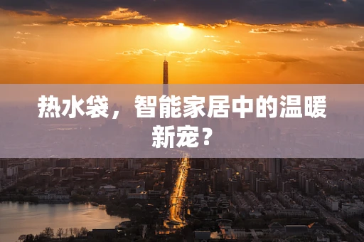 热水袋，智能家居中的温暖新宠？