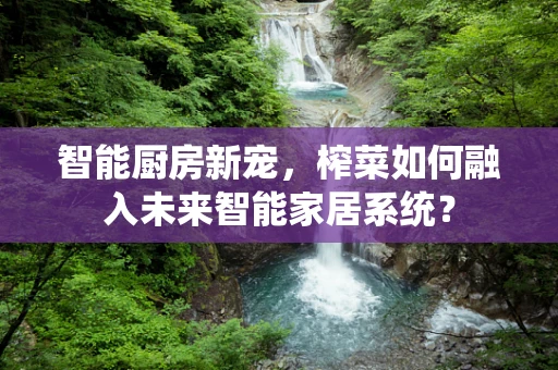 智能厨房新宠，榨菜如何融入未来智能家居系统？