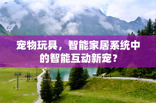 宠物玩具，智能家居系统中的智能互动新宠？