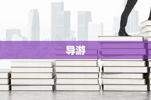 导游