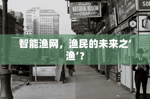 智能渔网，渔民的未来之‘渔’？