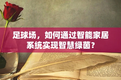 足球场，如何通过智能家居系统实现智慧绿茵？