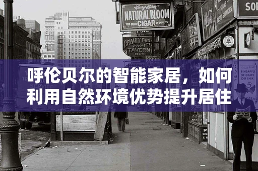 呼伦贝尔的智能家居，如何利用自然环境优势提升居住体验？