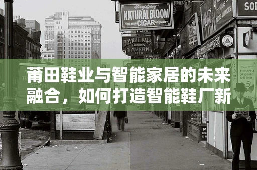 莆田鞋业与智能家居的未来融合，如何打造智能鞋厂新生态？