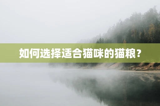 如何选择适合猫咪的猫粮？