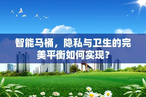 智能马桶，隐私与卫生的完美平衡如何实现？