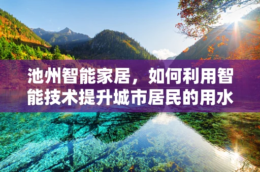 池州智能家居，如何利用智能技术提升城市居民的用水安全与效率？
