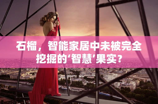 石榴，智能家居中未被完全挖掘的‘智慧’果实？