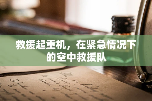 救援起重机，在紧急情况下的空中救援队