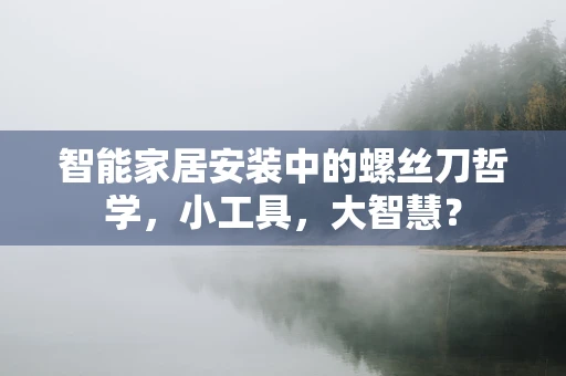 智能家居安装中的螺丝刀哲学，小工具，大智慧？