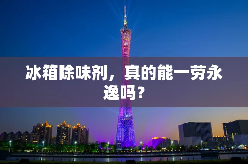 冰箱除味剂，真的能一劳永逸吗？