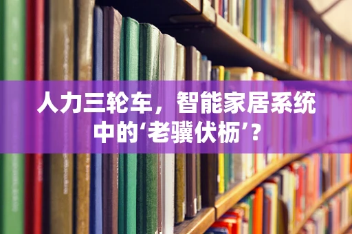 人力三轮车，智能家居系统中的‘老骥伏枥’？