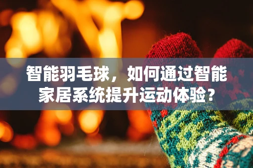 智能羽毛球，如何通过智能家居系统提升运动体验？