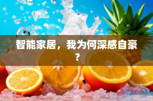智能家居，我为何深感自豪？