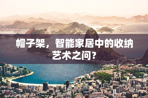 帽子架，智能家居中的收纳艺术之问？