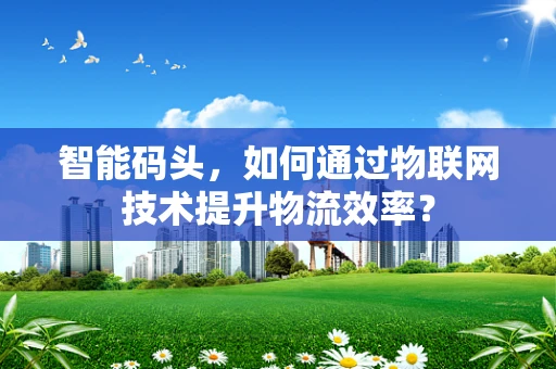 智能码头，如何通过物联网技术提升物流效率？
