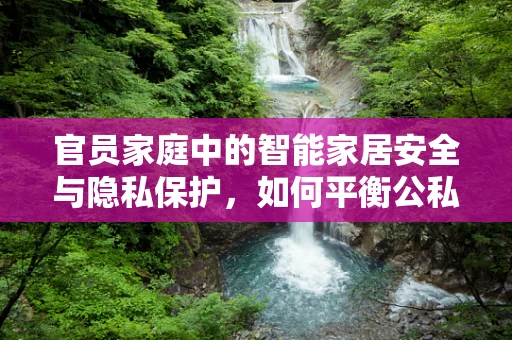 官员家庭中的智能家居安全与隐私保护，如何平衡公私界限？