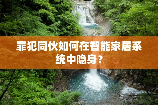 罪犯同伙如何在智能家居系统中隐身？