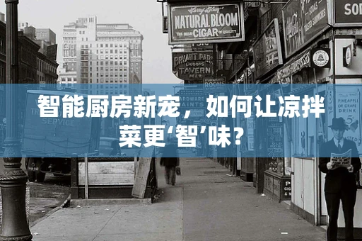 智能厨房新宠，如何让凉拌菜更‘智’味？