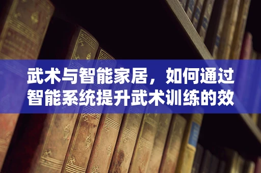 武术与智能家居，如何通过智能系统提升武术训练的效率与安全？