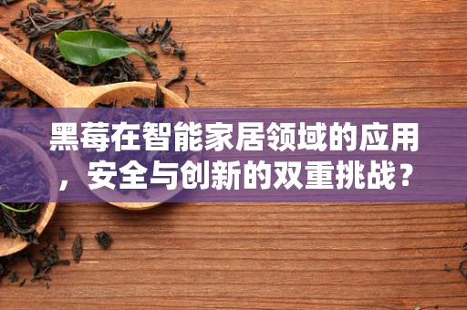 黑莓在智能家居领域的应用，安全与创新的双重挑战？
