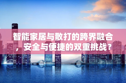 智能家居与散打的跨界融合，安全与便捷的双重挑战？