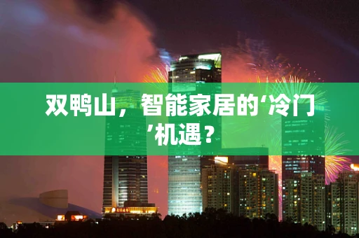 双鸭山，智能家居的‘冷门’机遇？