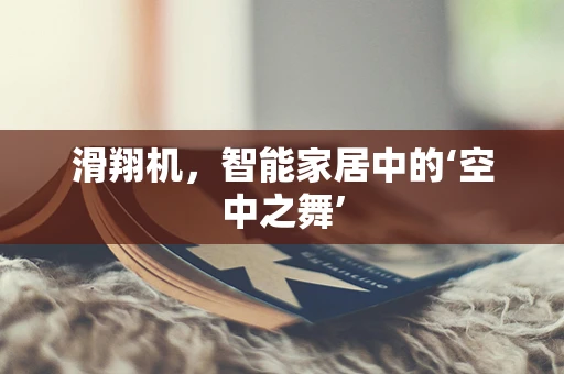 滑翔机，智能家居中的‘空中之舞’
