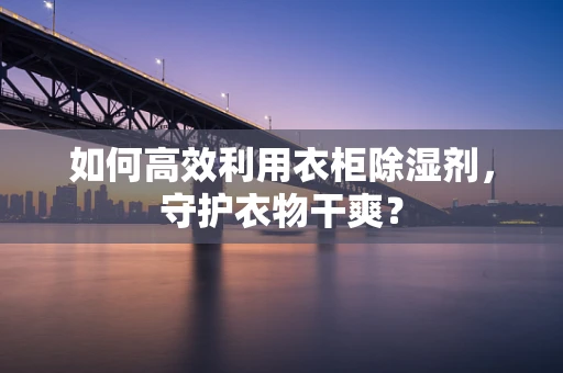 如何高效利用衣柜除湿剂，守护衣物干爽？